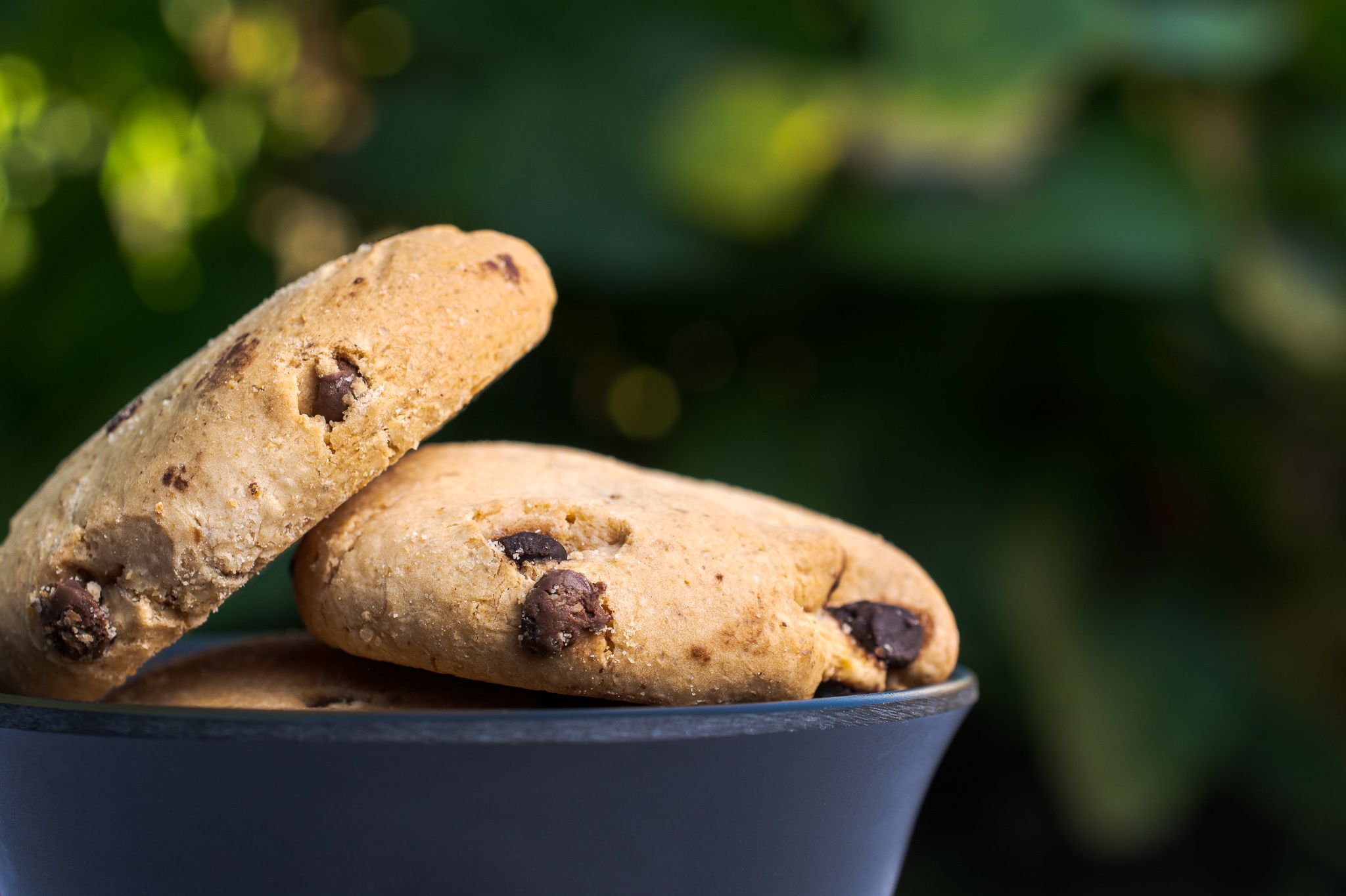 Imagen de la diapositiva