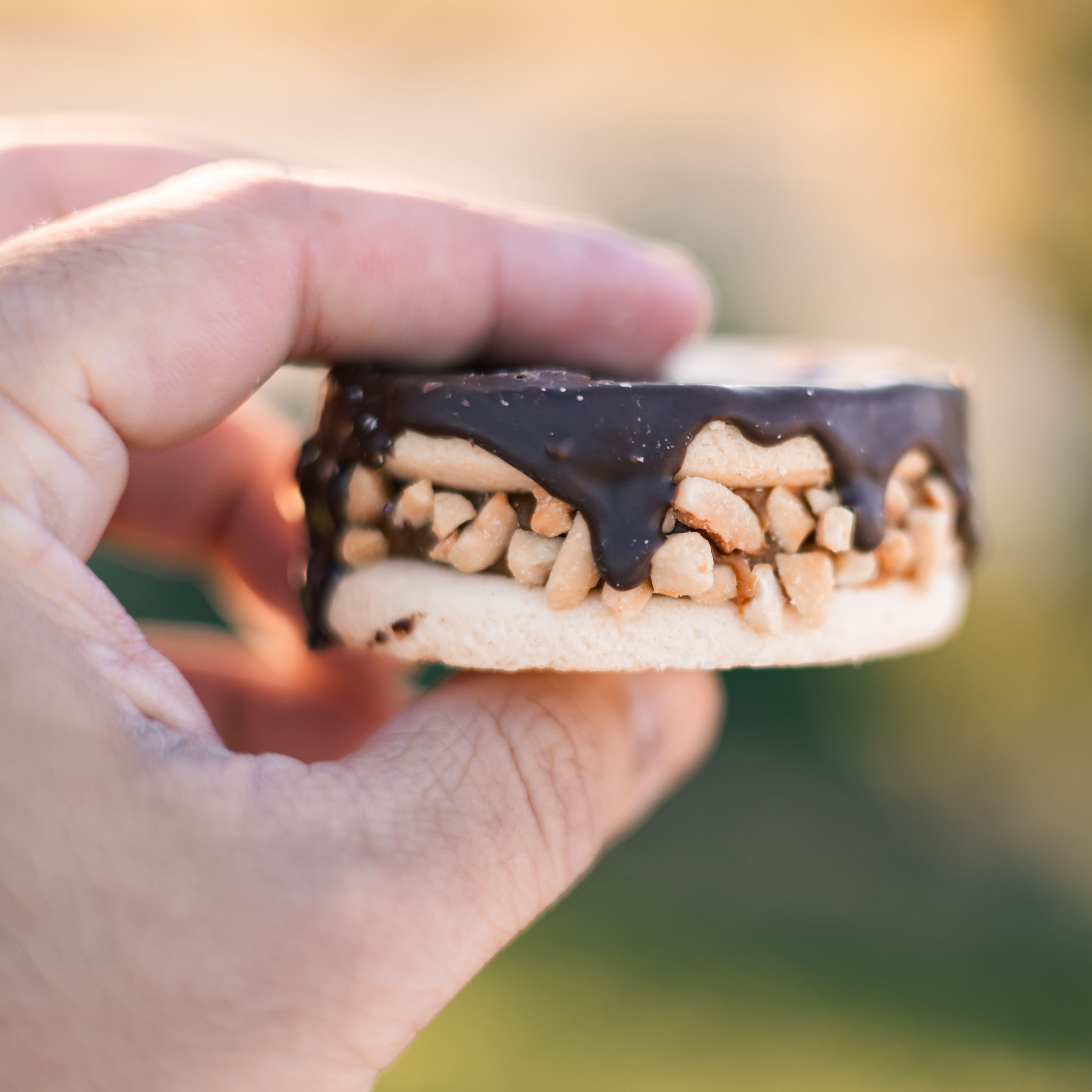 Imagen de la diapositiva