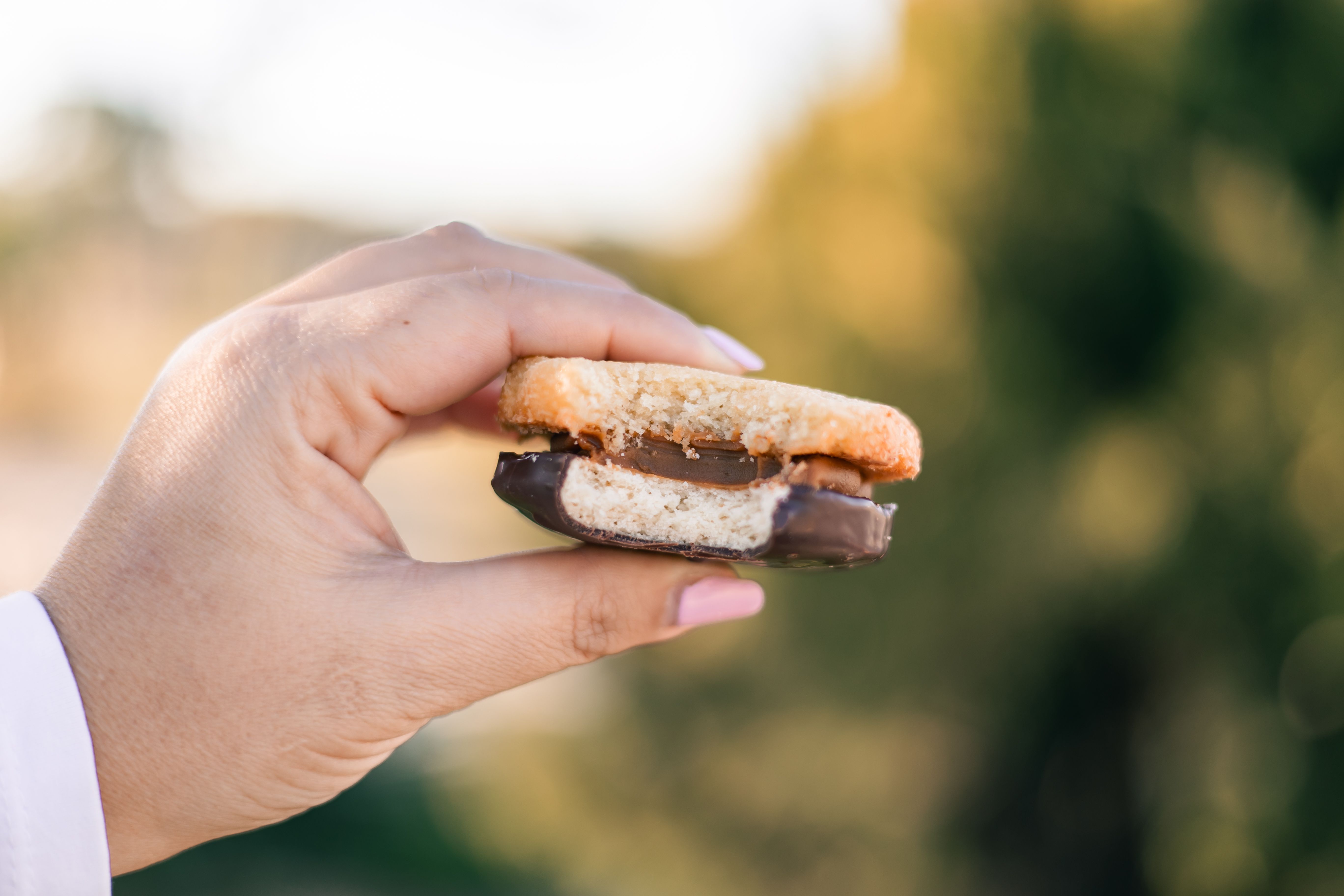 Imagen de la diapositiva