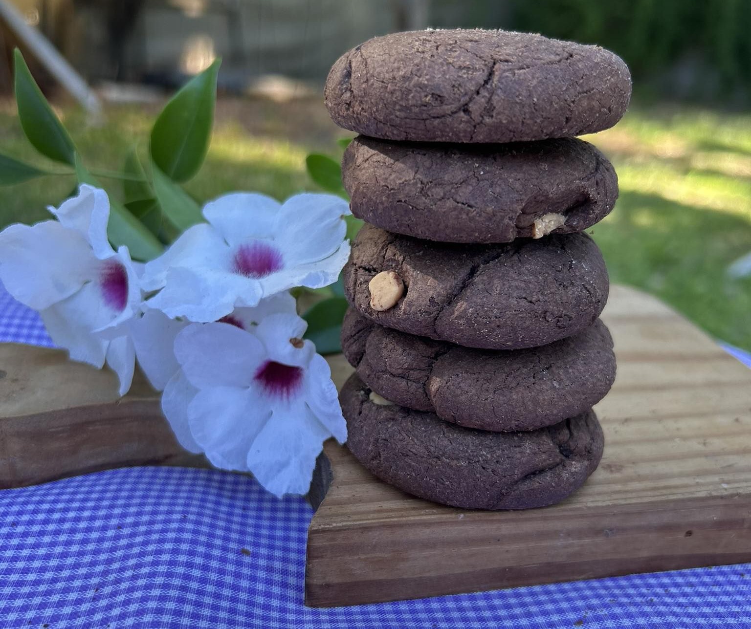 Imagen de la diapositiva