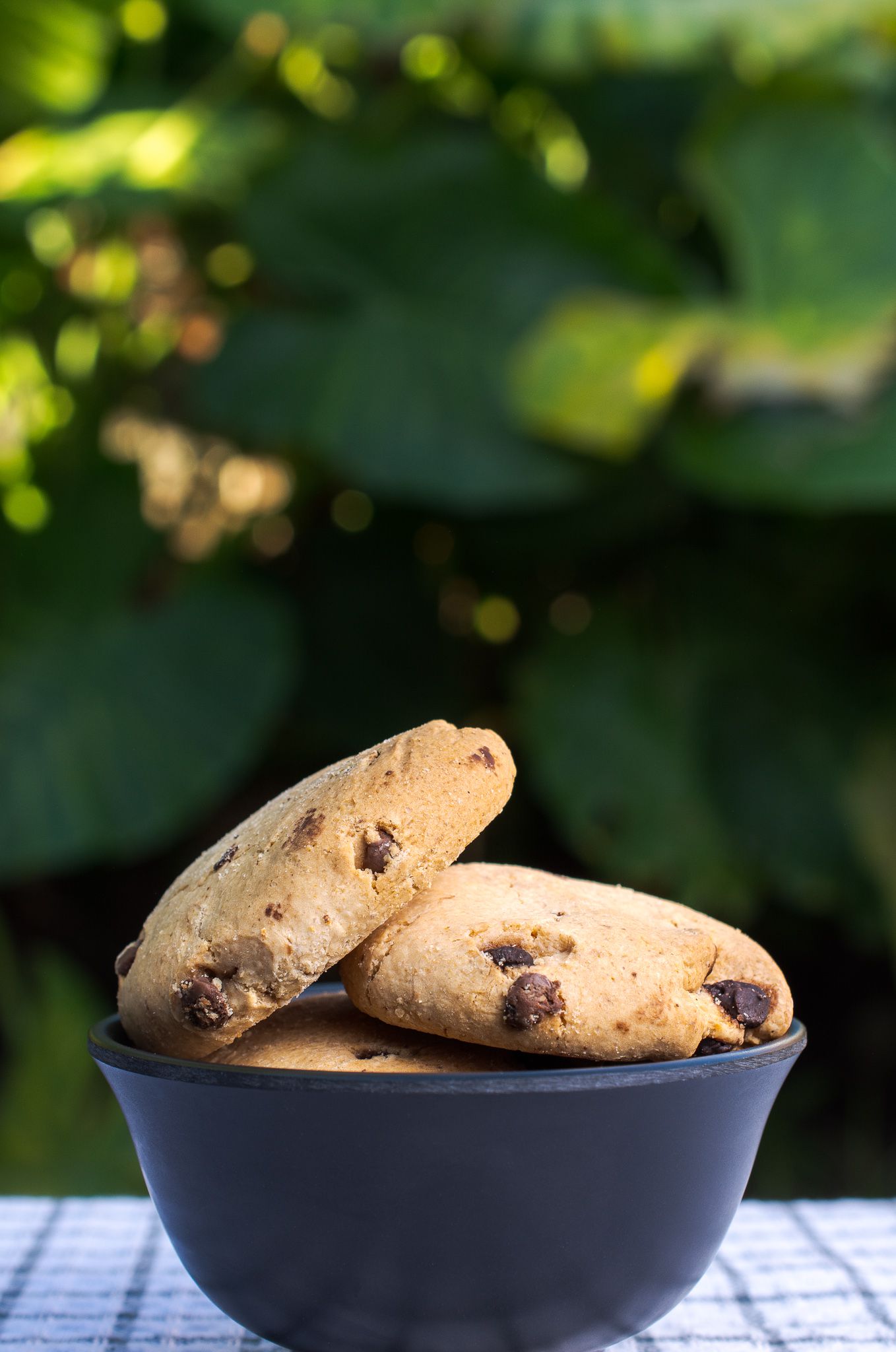 Galletitas con Chip x5